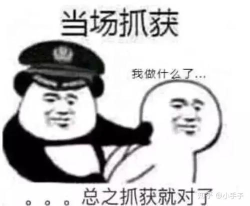 送你去香港是什么梗配图