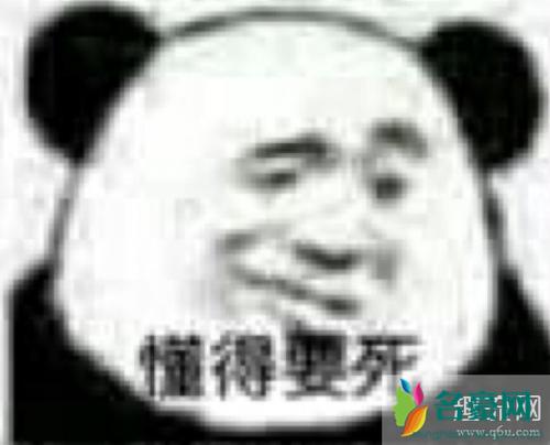 她其实什么都懂是什么梗配图