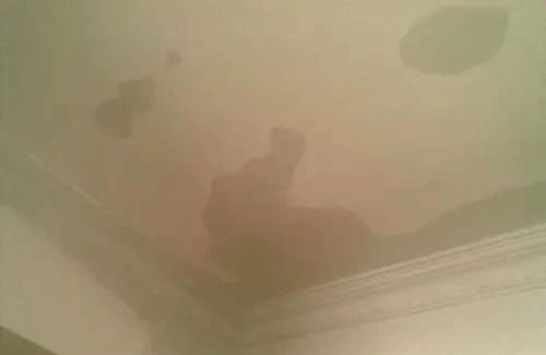 天花板在漏水什么梗配图