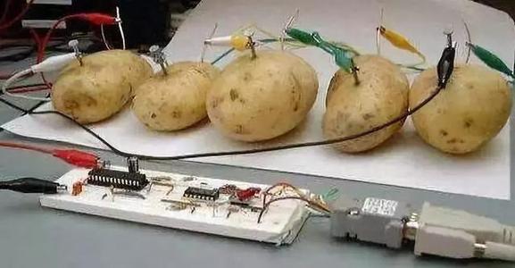 土豆服务器是什么梗配图
