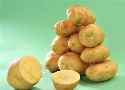 土豆精是什么梗配图