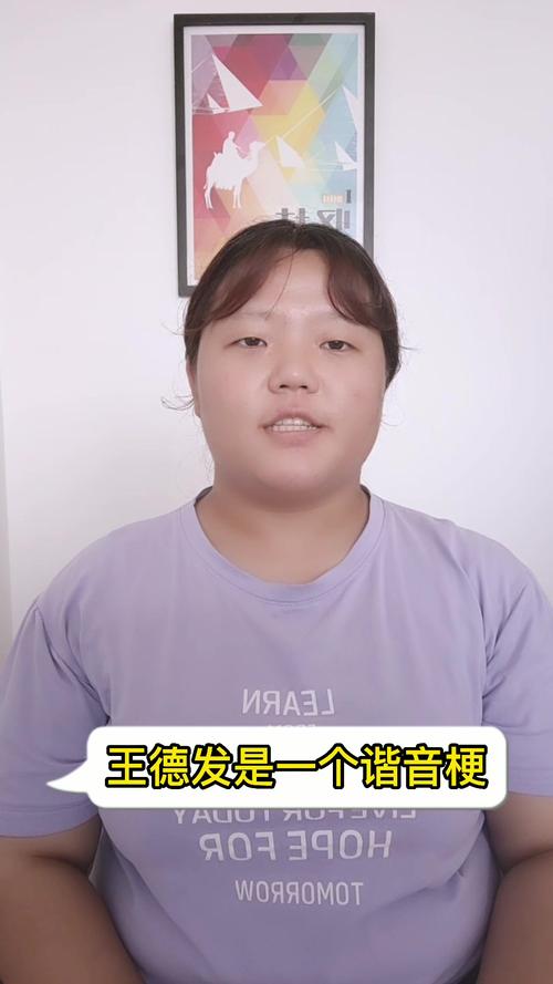 王德发英文是什么梗配图
