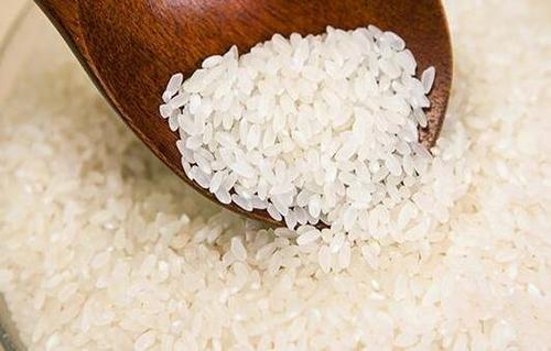 晚梗米是什么米配图