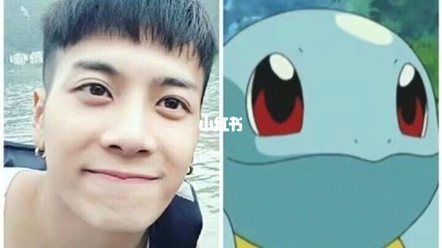 王嘉尔杰尼龟什么梗配图