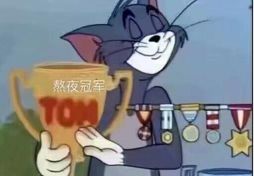 我老婆是熬夜冠军什么梗配图
