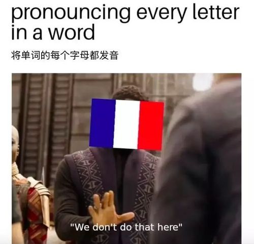我是法国人是什么梗配图