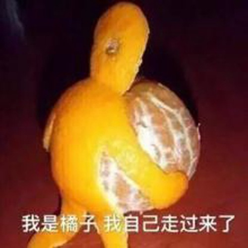 我只吃橘子皮什么梗配图