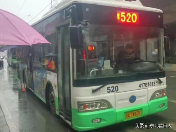 武汉521路公交传奇是什么梗配图
