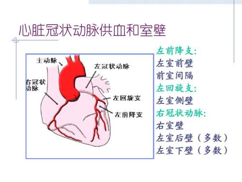 下壁心肌梗塞可能性是什么意思