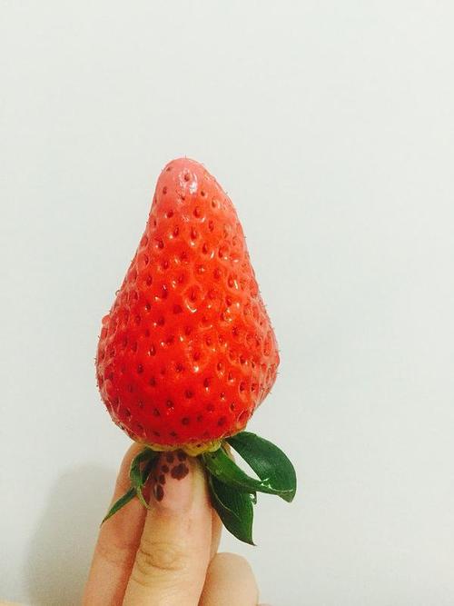 想吃草莓是什么梗配图