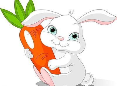 小兔子胡萝卜什么梗配图