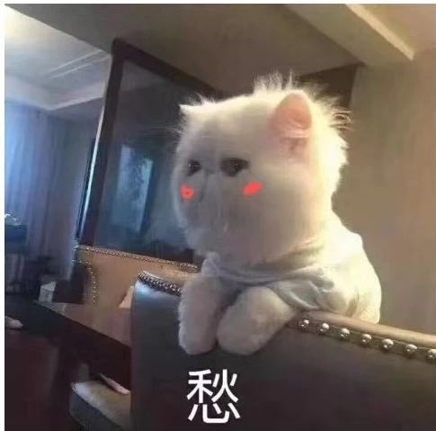 小小的软软的香香的什么梗配图
