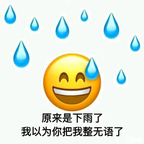 下雨了什么梗配图