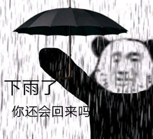 下雨跑回家是什么梗配图