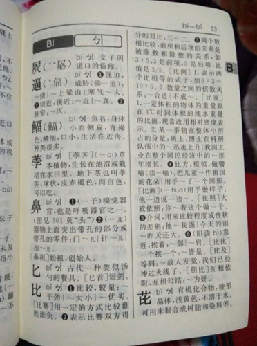 新华字典第23页什么梗配图