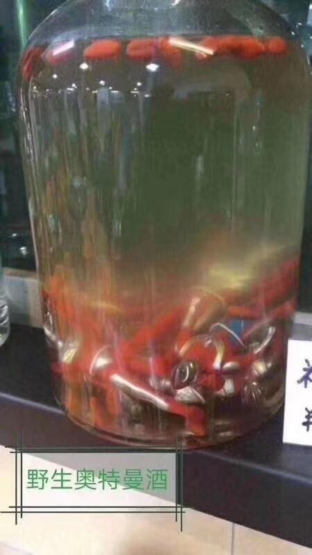 野生奥特曼泡酒是什么梗配图