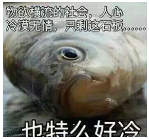 一起吃鱼是什么梗配图