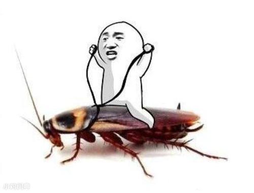 蟑螂人是什么梗配图