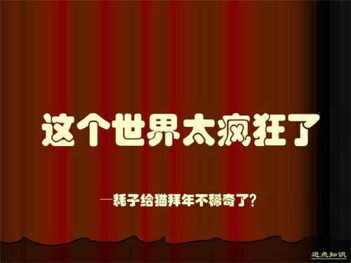 这个世界太疯狂什么梗配图