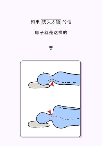 枕头垫高点什么梗图片配图