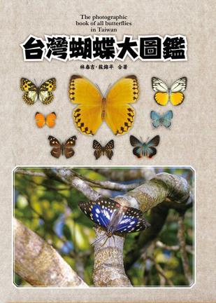 最近的台湾蝴蝶是什么梗