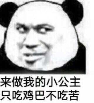 做我的小公主是什么梗配图