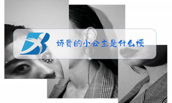 娇贵的小公主是什么梗图片
