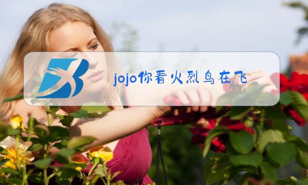 jojo你看火烈鸟在飞啊是什么梗图片