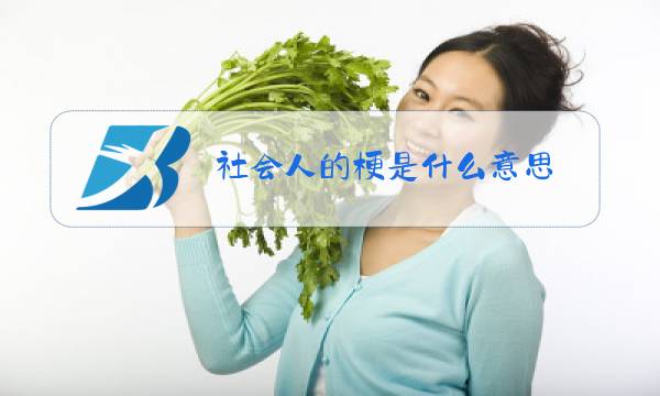 社会人的梗是什么意思