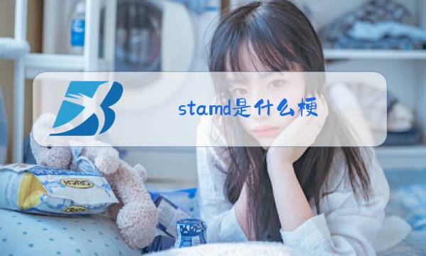 stamd是什么梗图片