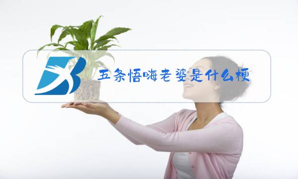 五条悟嗨老婆是什么梗图片