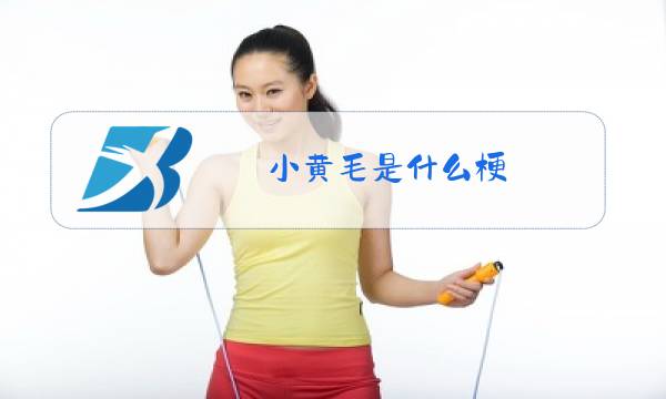 小黄毛是什么梗图片