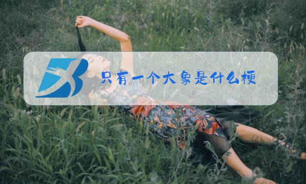只有一个大象是什么梗图片