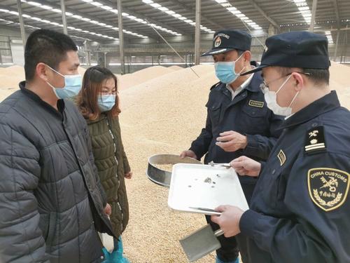 保税区 进口饲料加工 违法配图