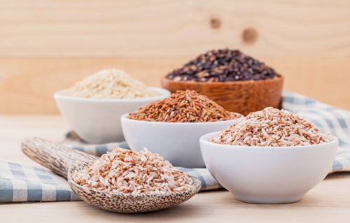 糙米饲料营养特性