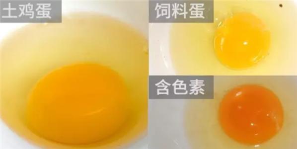 家鸡蛋和饲料蛋有区别配图