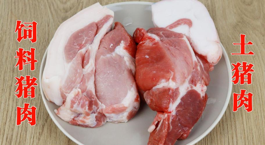 家养猪肉和饲料猪肉的区别配图