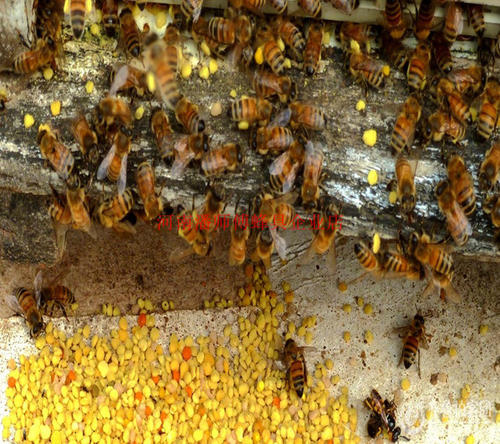 蜜蜂饲料怎么配配图