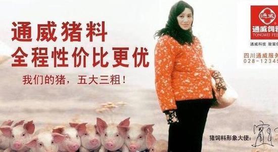 宁静代言猪饲料广告视频配图
