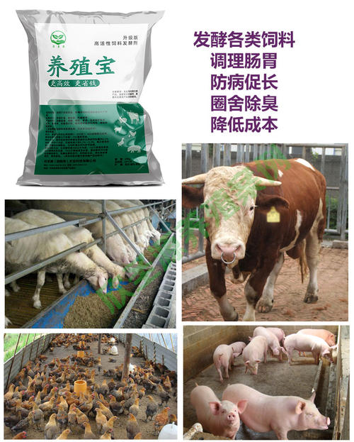 牛发酵饲料技术配图