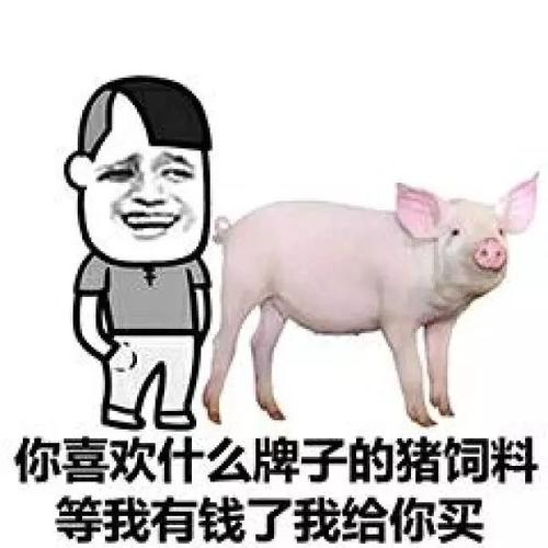 你喜欢什么牌子的猪饲料表情包配图