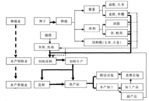 水产饲料属于什么行业配图