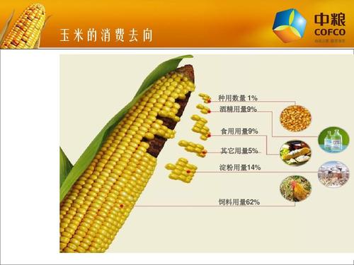 饲料用的玉米的国标标准配图