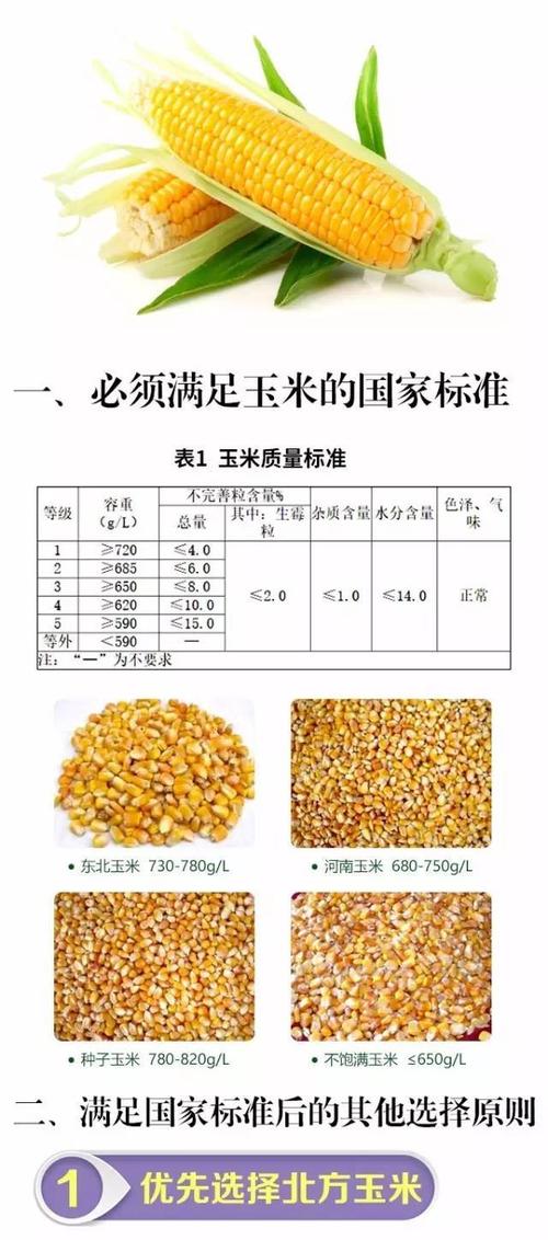 饲料玉米比例配图