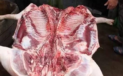 饲料猪肉对人体有危害吗?配图
