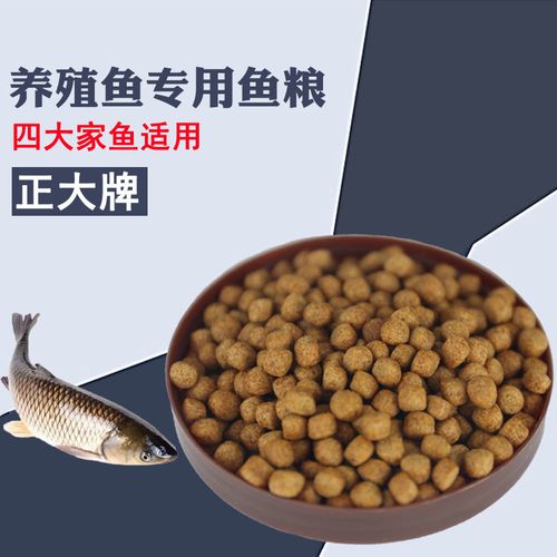 天津养殖鲤鱼都用哪个品牌饲料配图