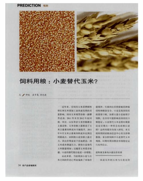 小麦代替玉米饲料配图