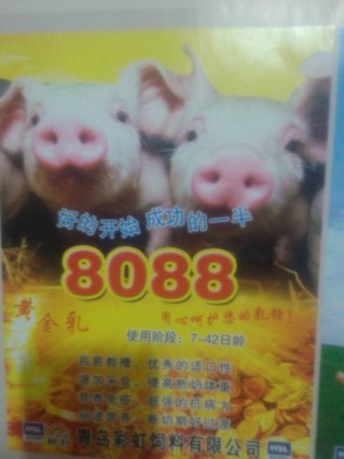 小时候看的猪饲料广告配图