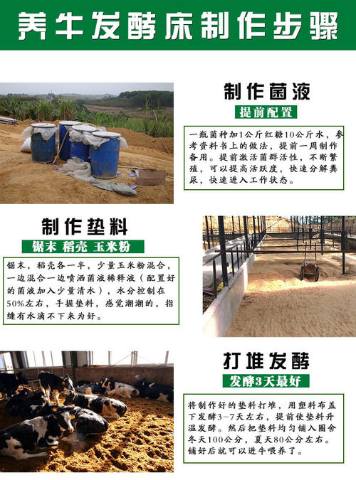养牛的饲料怎样发酵配图