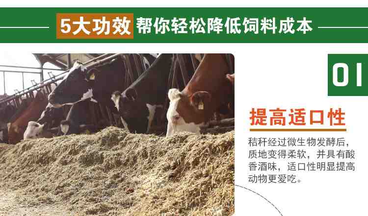 养牛黄储饲料制作方法配图